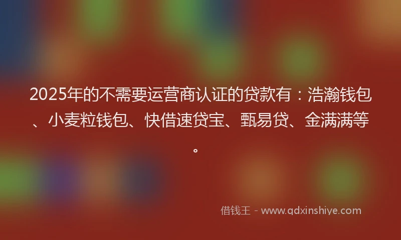 2025年的不需要运营商认证的贷款有：浩瀚钱包、小麦粒钱包、快借速贷宝、甄易贷、金满满等。