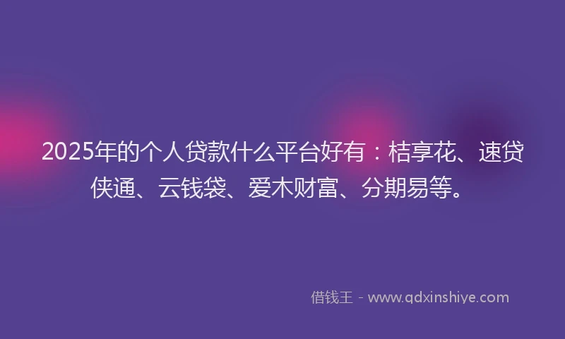 2025年的个人贷款什么平台好有：桔享花、速贷侠通、云钱袋、爱木财富、分期易等。