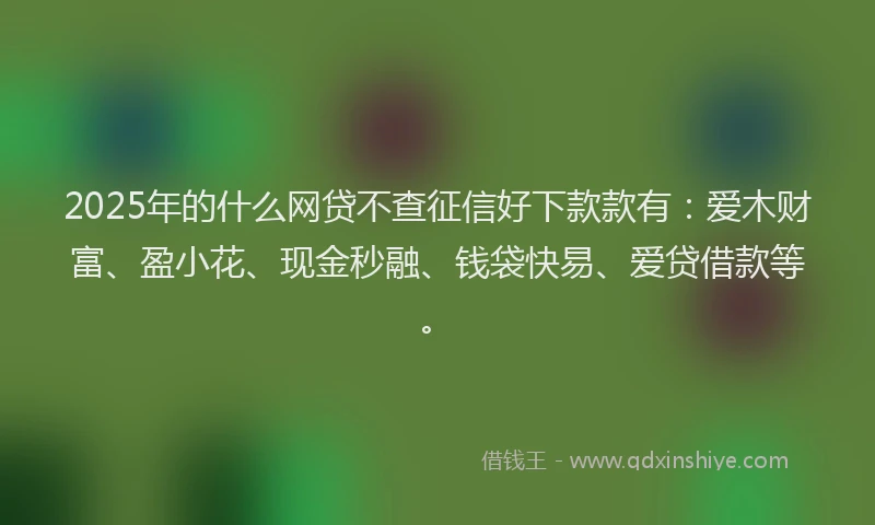 2025年的什么网贷不查征信好下款款有：爱木财富、盈小花、现金秒融、钱袋快易、爱贷借款等。