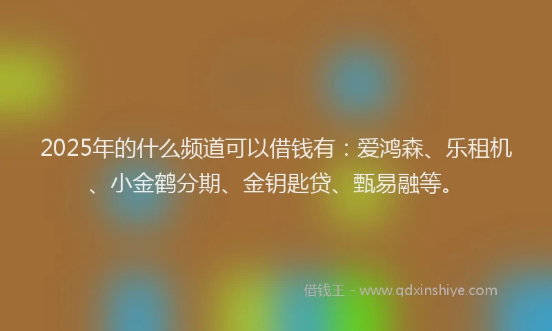 2025年的什么频道可以借钱有：爱鸿森、乐租机、小金鹤分期、金钥匙贷、甄易融等。