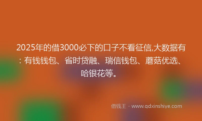 2025年的借3000必下的口子不看征信,大数据有：有钱钱包、省时贷融、瑞信钱包、蘑菇优选、哈银花等。