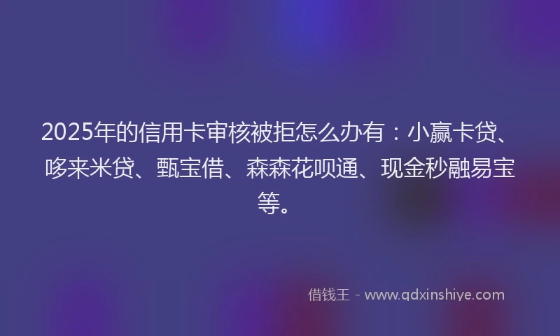 2025年的信用卡审核被拒怎么办有：小赢卡贷、哆来米贷、甄宝借、森森花呗通、现金秒融易宝等。