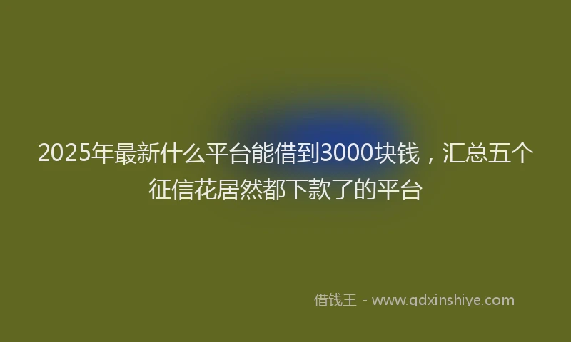 2025年最新什么平台能借到3000块钱，汇总五个征信花居然都下款了的平台
