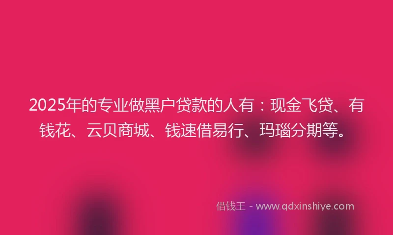 2025年的专业做黑户贷款的人有：现金飞贷、有钱花、云贝商城、钱速借易行、玛瑙分期等。
