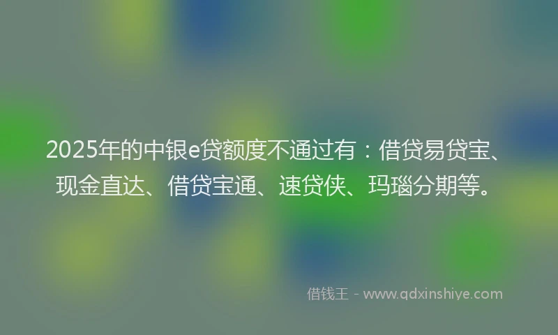 2025年的中银e贷额度不通过有：借贷易贷宝、现金直达、借贷宝通、速贷侠、玛瑙分期等。