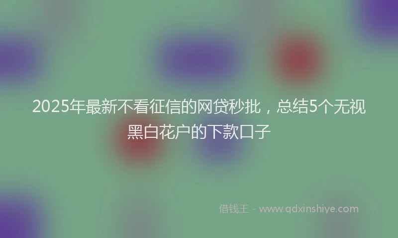 2025年最新不看征信的网贷秒批，总结5个无视黑白花户的下款口子