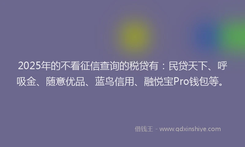 2025年的不看征信查询的税贷有：民贷天下、呼吸金、随意优品、蓝鸟信用、融悦宝Pro钱包等。