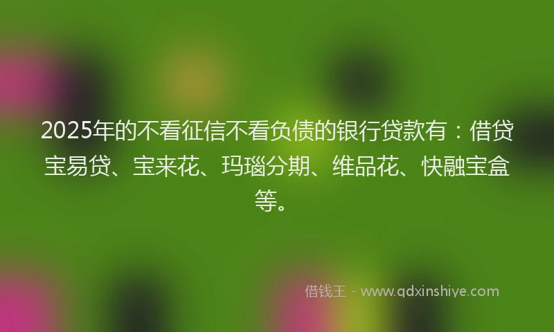 2025年的不看征信不看负债的银行贷款有：借贷宝易贷、宝来花、玛瑙分期、维品花、快融宝盒等。