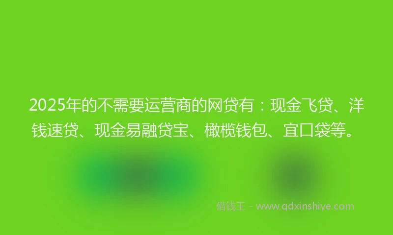 2025年的不需要运营商的网贷有：现金飞贷、洋钱速贷、现金易融贷宝、橄榄钱包、宜口袋等。