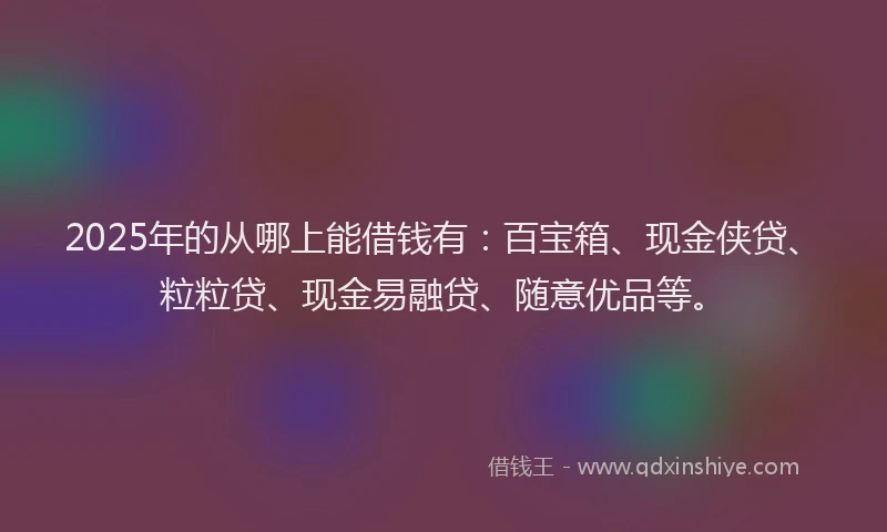 2025年的从哪上能借钱有：百宝箱、现金侠贷、粒粒贷、现金易融贷、随意优品等。