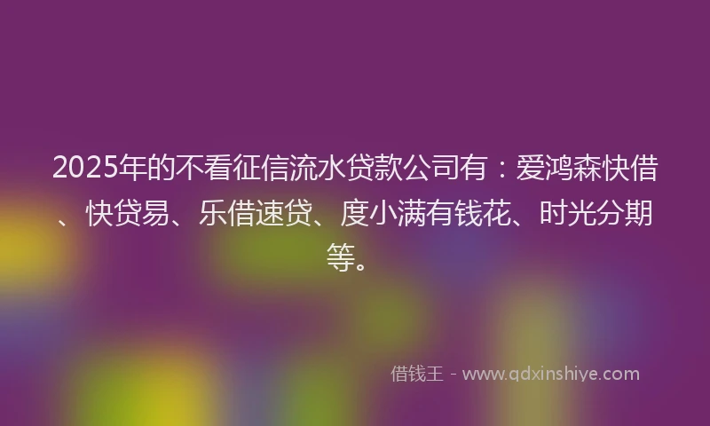2025年的不看征信流水贷款公司有：爱鸿森快借、快贷易、乐借速贷、度小满有钱花、时光分期等。