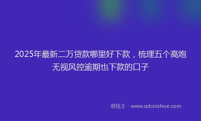 2025年最新二万贷款哪里好下款，梳理五个高炮无视风控逾期也下款的口子