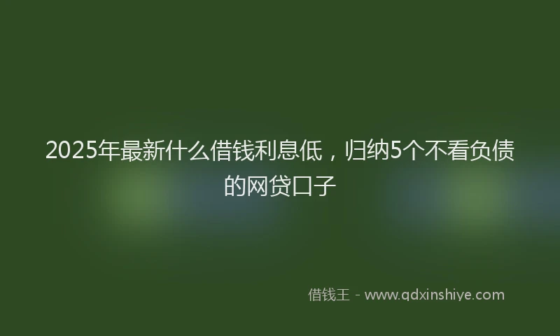 2025年最新什么借钱利息低，归纳5个不看负债的网贷口子
