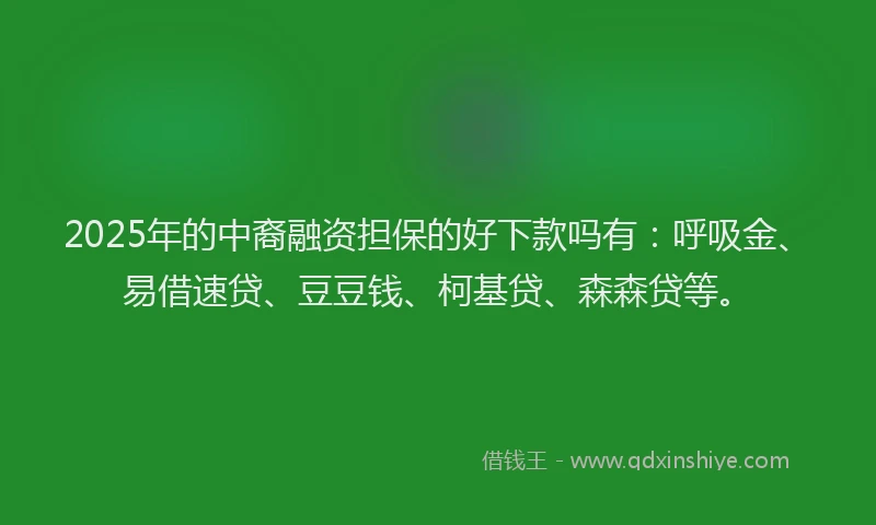 2025年的中裔融资担保的好下款吗有：呼吸金、易借速贷、豆豆钱、柯基贷、森森贷等。