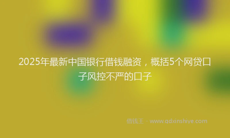 2025年最新中国银行借钱融资，概括5个网贷口子风控不严的口子