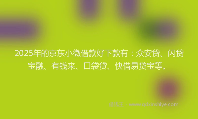 2025年的京东小微借款好下款有：众安贷、闪贷宝融、有钱来、口袋贷、快借易贷宝等。