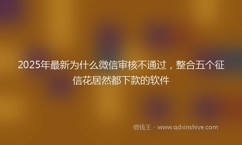 2025年最新为什么微信审核不通过，整合五个征信花居然都下款的软件