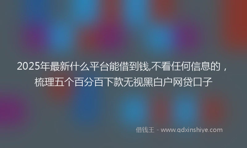 2025年最新什么平台能借到钱,不看任何信息的，梳理五个百分百下款无视黑白户网贷口子