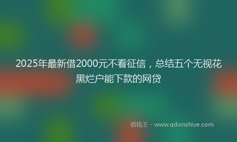 2025年最新借2000元不看征信，总结五个无视花黑烂户能下款的网贷
