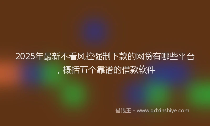 2025年最新不看风控强制下款的网贷有哪些平台，概括五个靠谱的借款软件