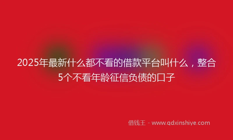 2025年最新什么都不看的借款平台叫什么，整合5个不看年龄征信负债的口子