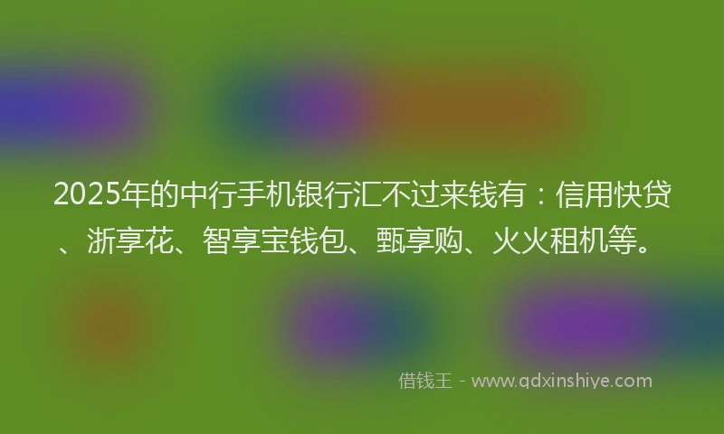 2025年的中行手机银行汇不过来钱有：信用快贷、浙享花、智享宝钱包、甄享购、火火租机等。