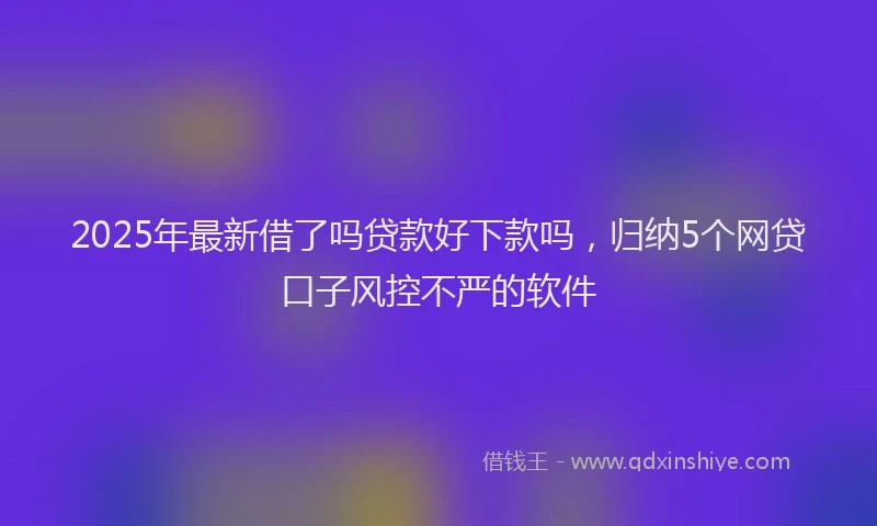 2025年最新借了吗贷款好下款吗，归纳5个网贷口子风控不严的软件