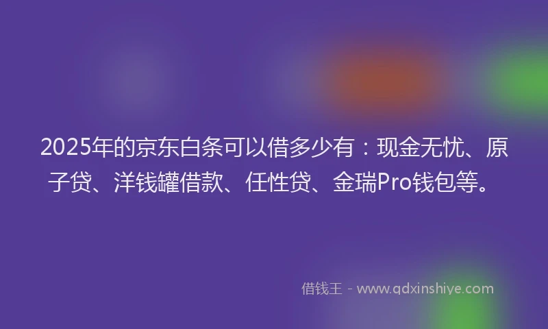 2025年的京东白条可以借多少有：现金无忧、原子贷、洋钱罐借款、任性贷、金瑞Pro钱包等。