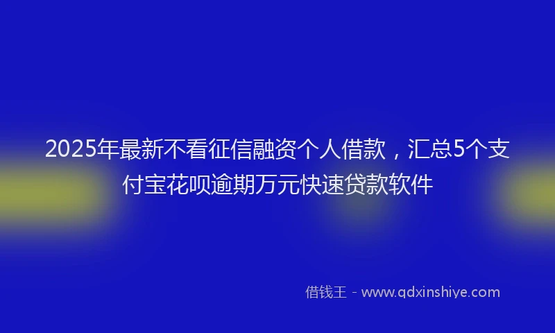 2025年最新不看征信融资个人借款，汇总5个支付宝花呗逾期万元快速贷款软件