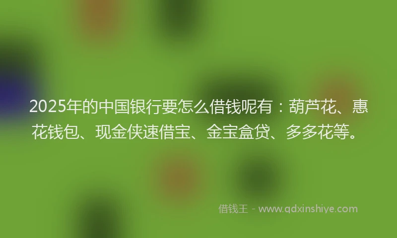 2025年的中国银行要怎么借钱呢有：葫芦花、惠花钱包、现金侠速借宝、金宝盒贷、多多花等。