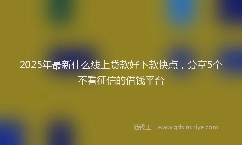 2025年最新什么线上贷款好下款快点，分享5个不看征信的借钱平台