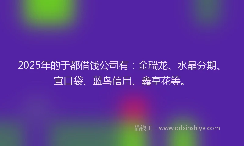 2025年的于都借钱公司有：金瑞龙、水晶分期、宜口袋、蓝鸟信用、鑫享花等。