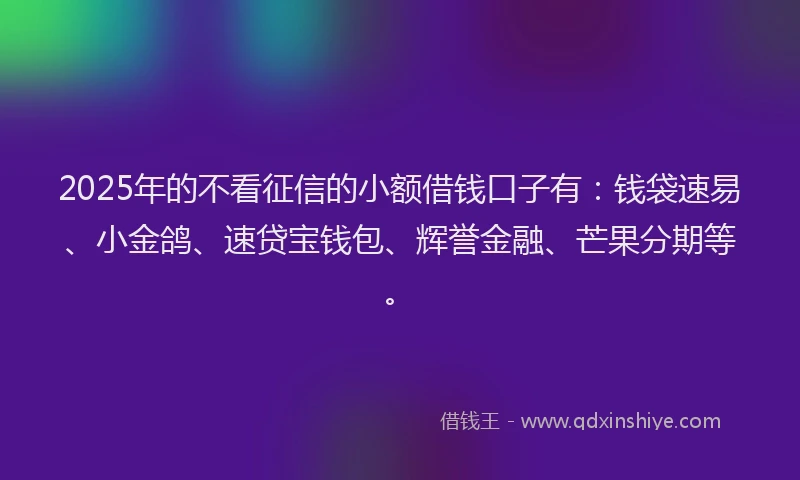 2025年的不看征信的小额借钱口子有：钱袋速易、小金鸽、速贷宝钱包、辉誉金融、芒果分期等。