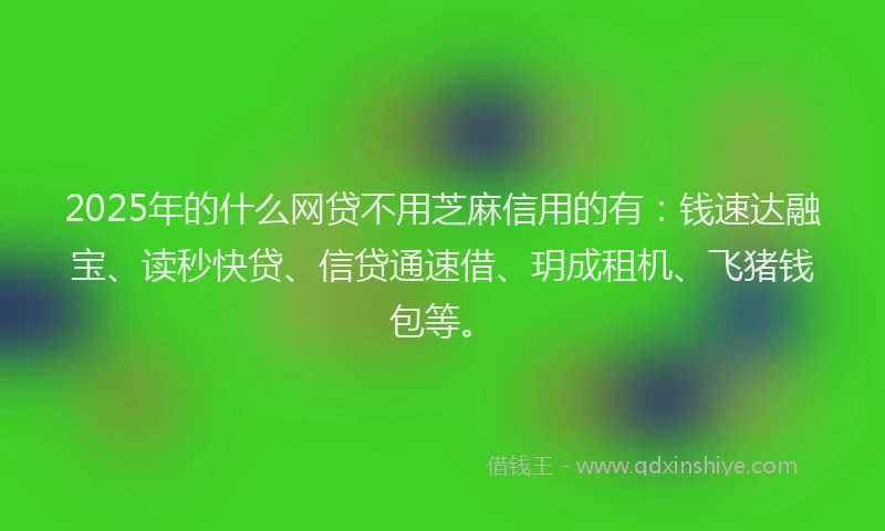 2025年的什么网贷不用芝麻信用的有：钱速达融宝、读秒快贷、信贷通速借、玥成租机、飞猪钱包等。