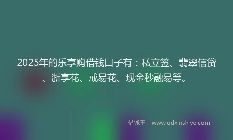 2025年的乐享购借钱口子有：私立签、翡翠信贷、浙享花、戒易花、现金秒融易等。