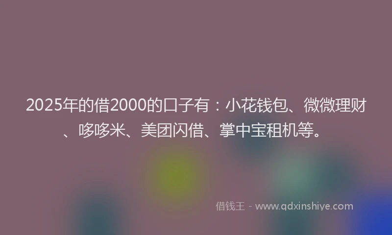 2025年的借2000的口子有：小花钱包、微微理财、哆哆米、美团闪借、掌中宝租机等。