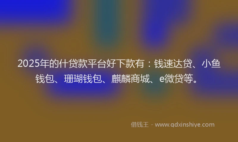 2025年的什贷款平台好下款有：钱速达贷、小鱼钱包、珊瑚钱包、麒麟商城、e微贷等。