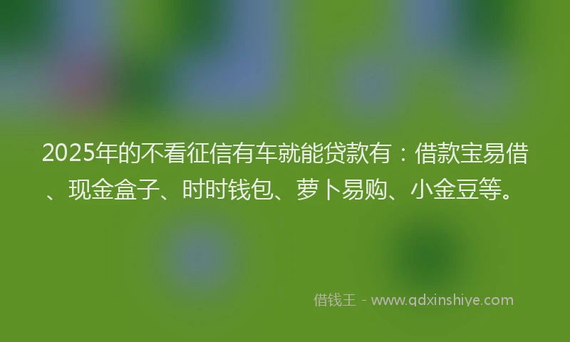 2025年的不看征信有车就能贷款有：借款宝易借、现金盒子、时时钱包、萝卜易购、小金豆等。