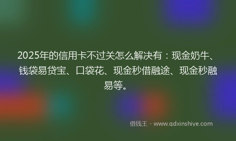 2025年的信用卡不过关怎么解决有：现金奶牛、钱袋易贷宝、口袋花、现金秒借融途、现金秒融易等。