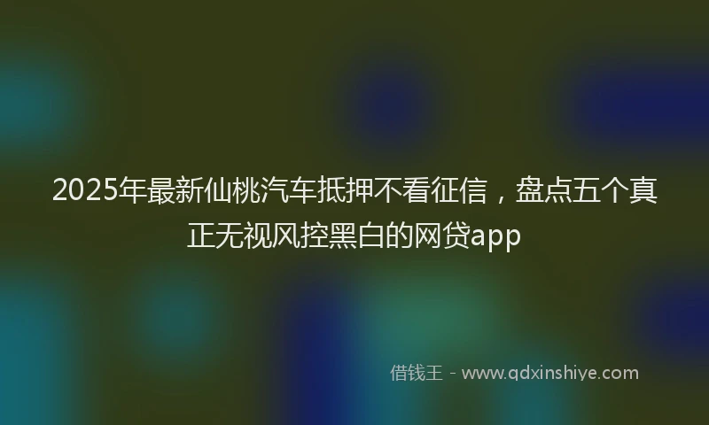 2025年最新仙桃汽车抵押不看征信，盘点五个真正无视风控黑白的网贷app