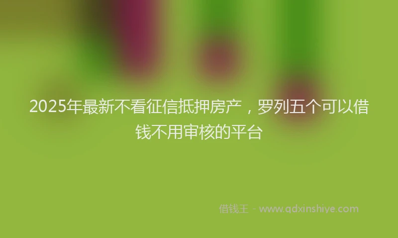 2025年最新不看征信抵押房产，罗列五个可以借钱不用审核的平台