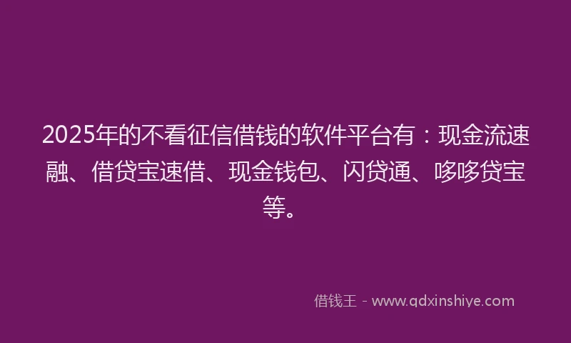 2025年的不看征信借钱的软件平台有：现金流速融、借贷宝速借、现金钱包、闪贷通、哆哆贷宝等。