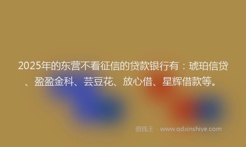 2025年的东营不看征信的贷款银行有：琥珀信贷、盈盈金科、芸豆花、放心借、星辉借款等。
