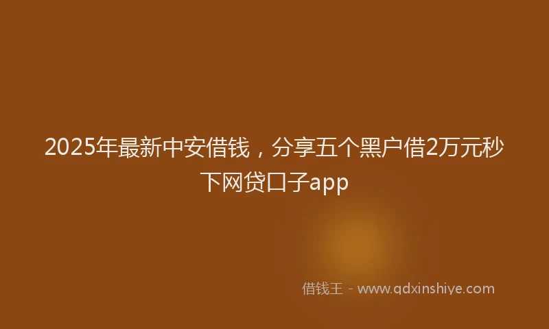 2025年最新中安借钱，分享五个黑户借2万元秒下网贷口子app