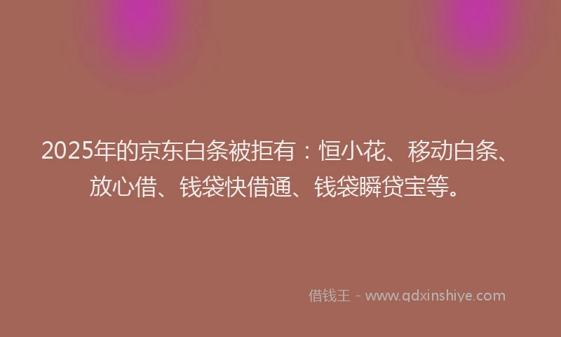 2025年的京东白条被拒有：恒小花、移动白条、放心借、钱袋快借通、钱袋瞬贷宝等。
