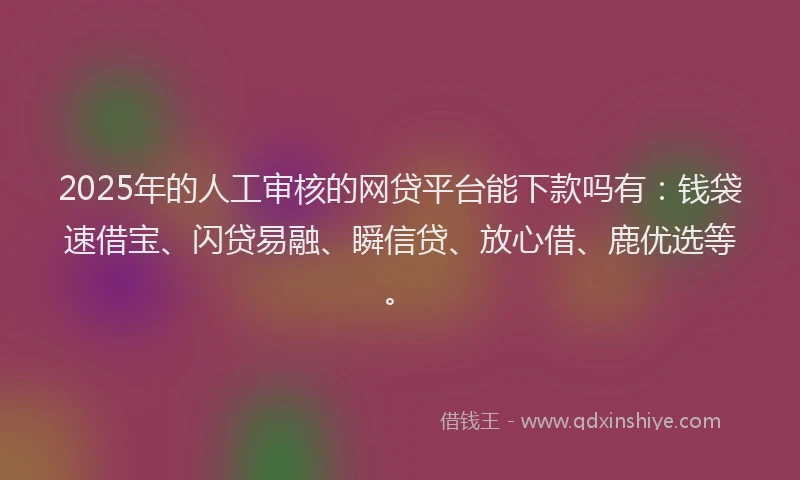 2025年的人工审核的网贷平台能下款吗有：钱袋速借宝、闪贷易融、瞬信贷、放心借、鹿优选等。