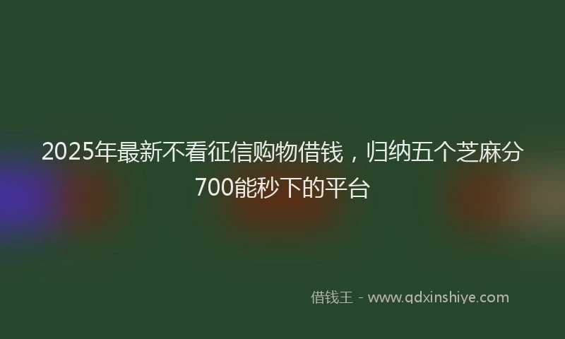 2025年最新不看征信购物借钱，归纳五个芝麻分700能秒下的平台