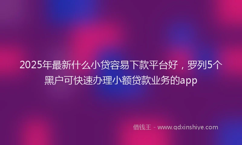 2025年最新什么小贷容易下款平台好，罗列5个黑户可快速办理小额贷款业务的app