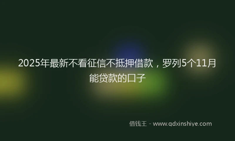 2025年最新不看征信不抵押借款，罗列5个11月能贷款的口子