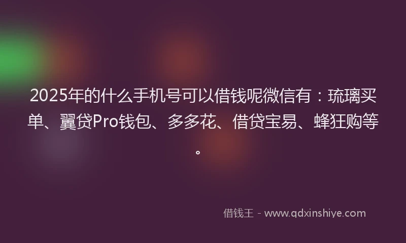 2025年的什么手机号可以借钱呢微信有：琉璃买单、翼贷Pro钱包、多多花、借贷宝易、蜂狂购等。